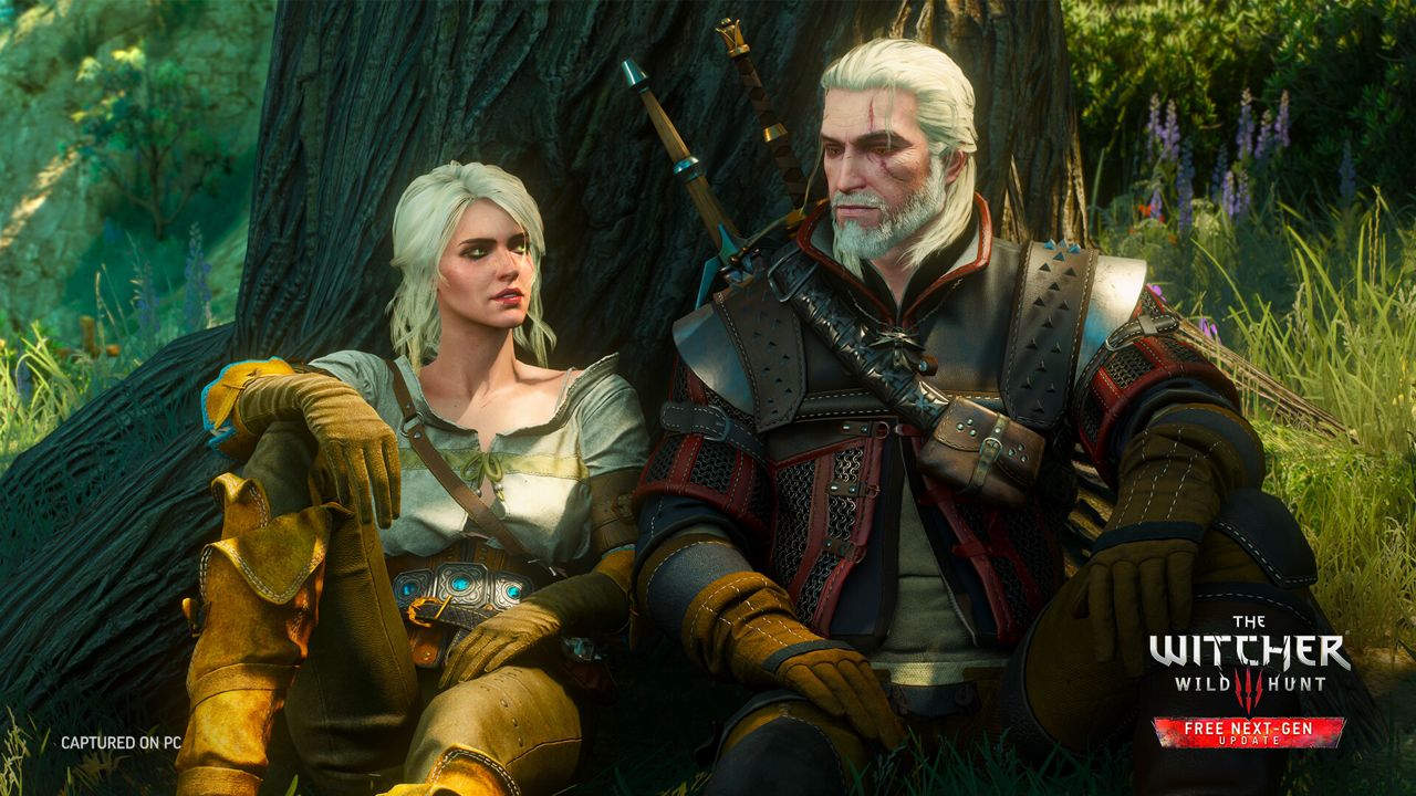 The Witcher 3: Wild Hunt ekran görüntüsü 0