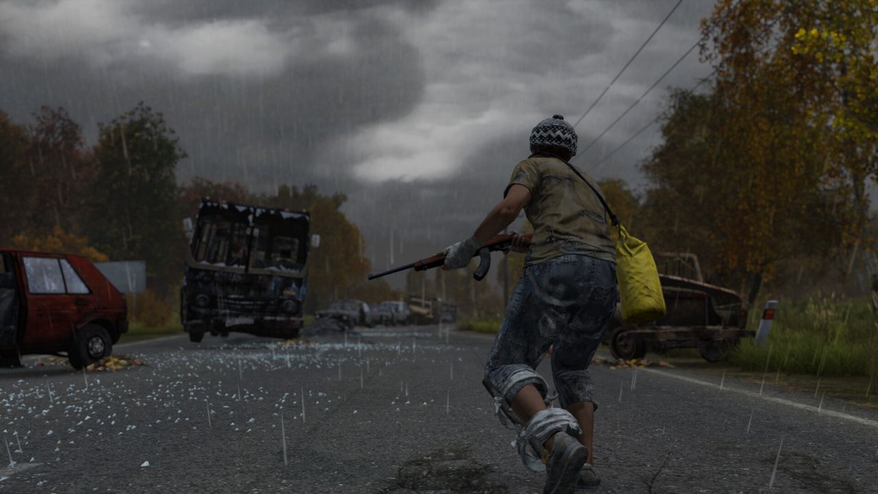DayZ ekran görüntüsü 0