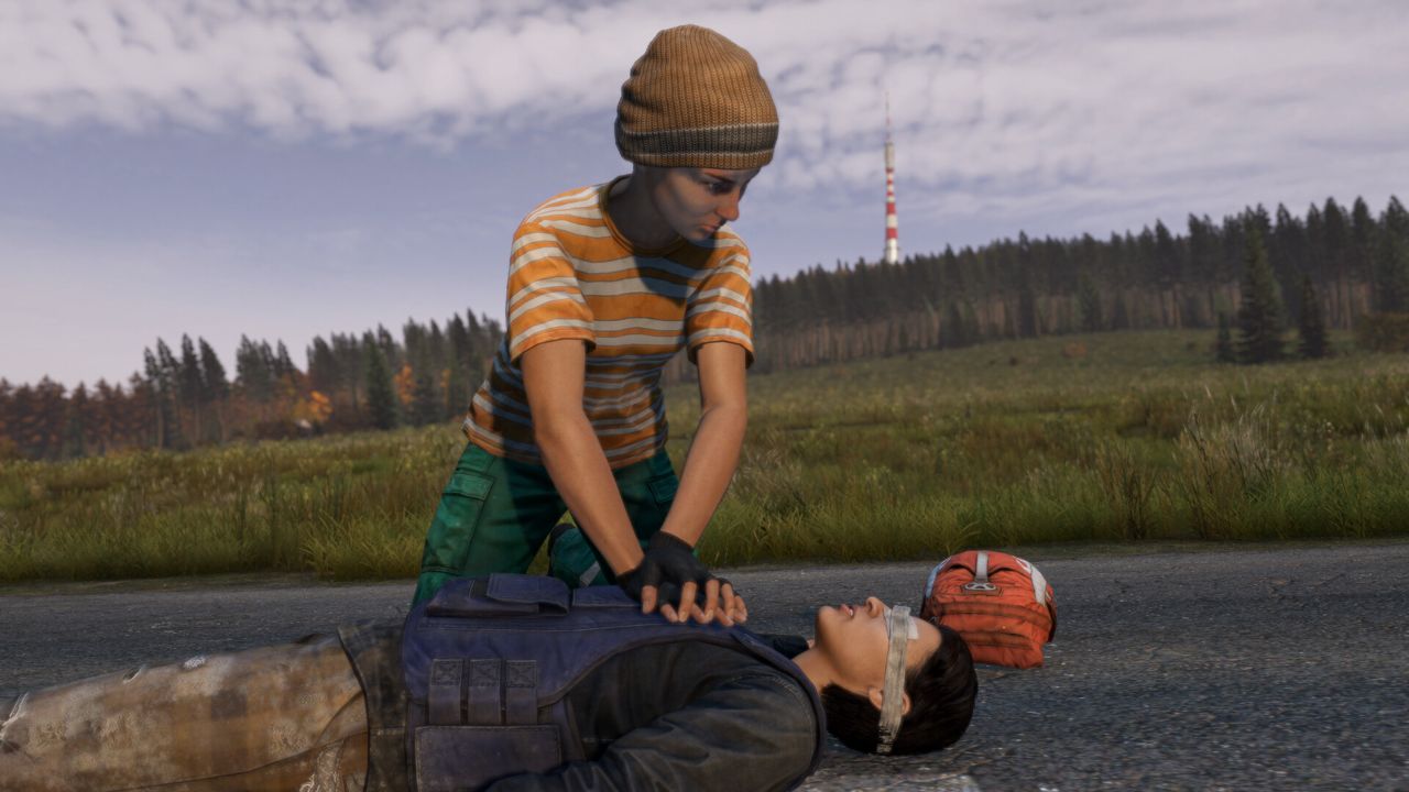 DayZ ekran görüntüsü 1