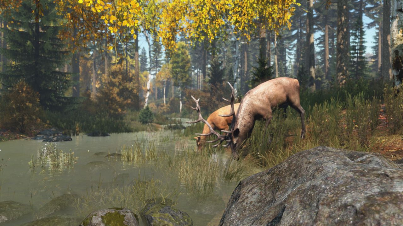 DayZ ekran görüntüsü 5