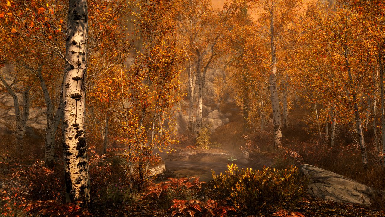 The Elder Scrolls V: Skyrim Special Edition ekran görüntüsü 2