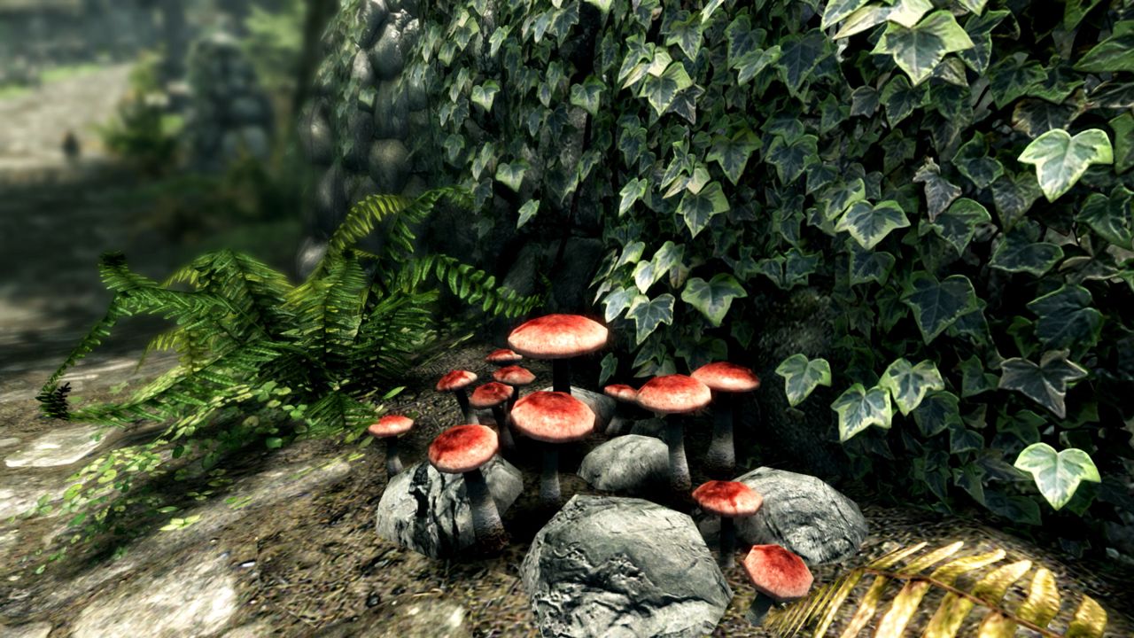 The Elder Scrolls V: Skyrim Special Edition ekran görüntüsü 5