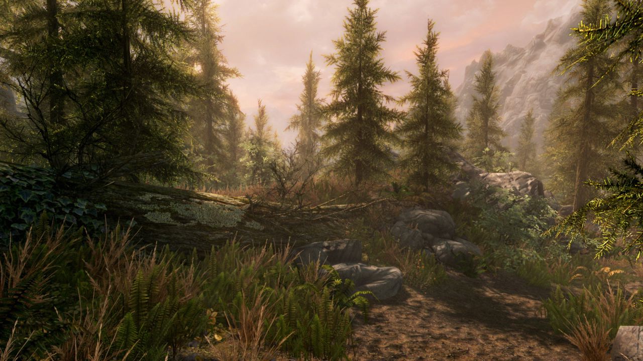 The Elder Scrolls V: Skyrim Special Edition ekran görüntüsü 6