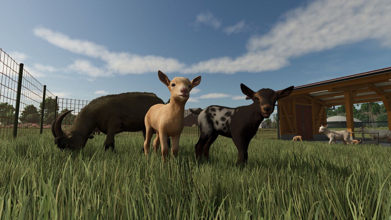 Farming Simulator 25 ekran görüntüsü 1