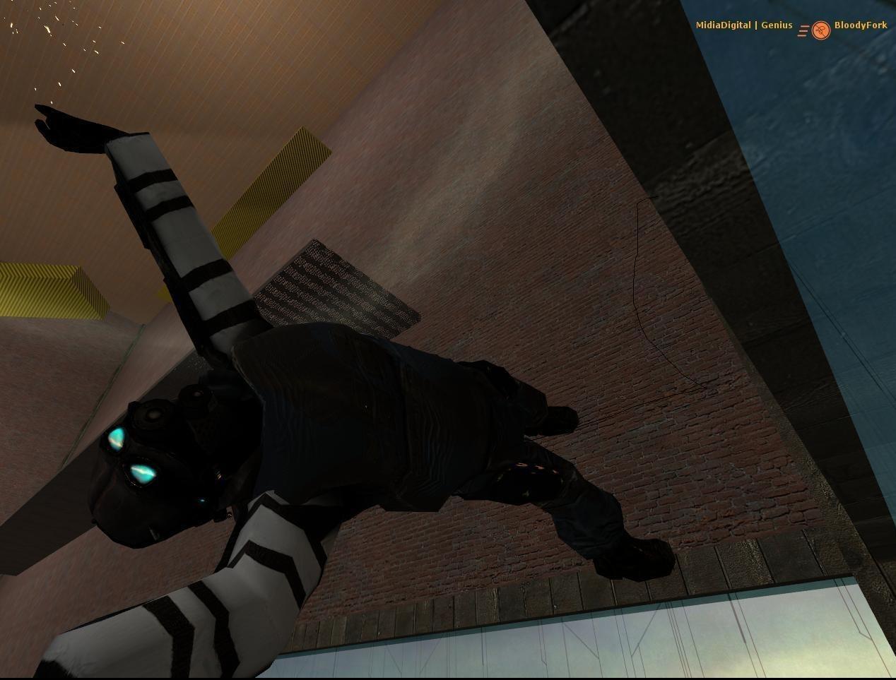 Half-Life 2: Deathmatch ekran görüntüsü 0