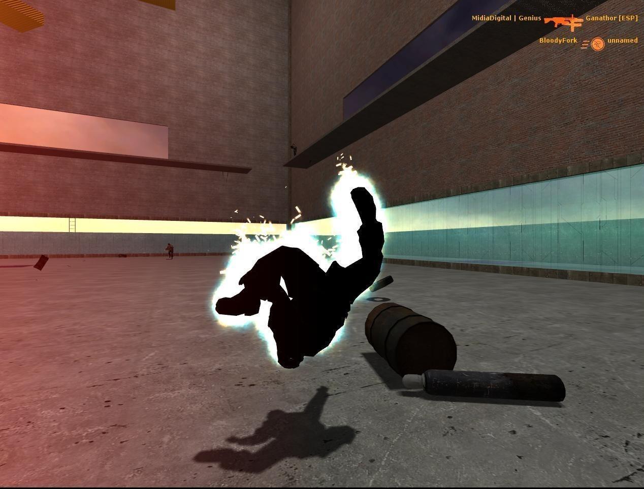 Half-Life 2: Deathmatch ekran görüntüsü 2