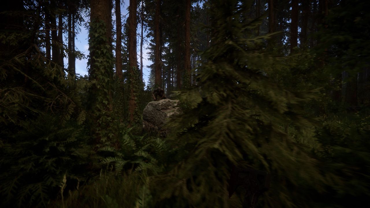 Sons Of The Forest ekran görüntüsü 3