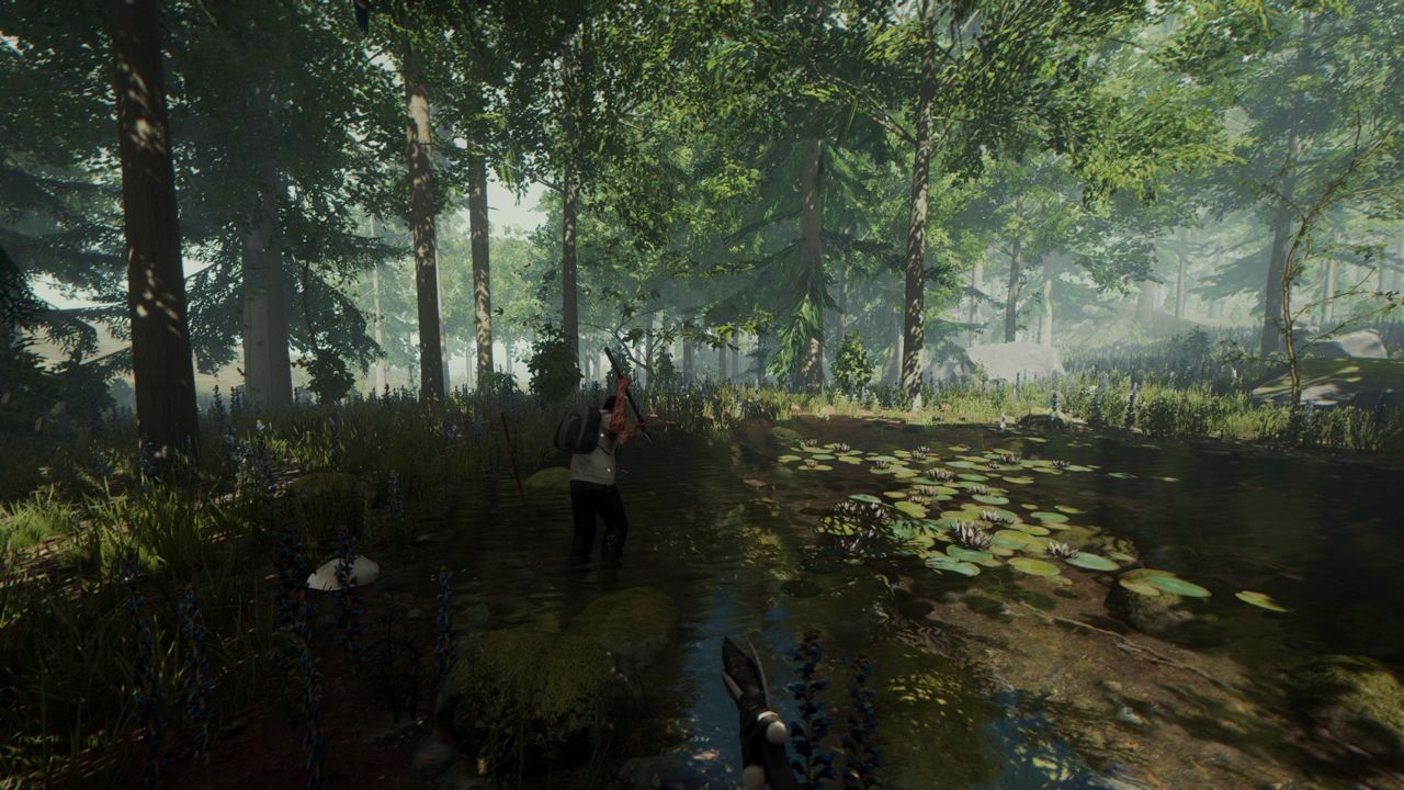 The Forest ekran görüntüsü 5