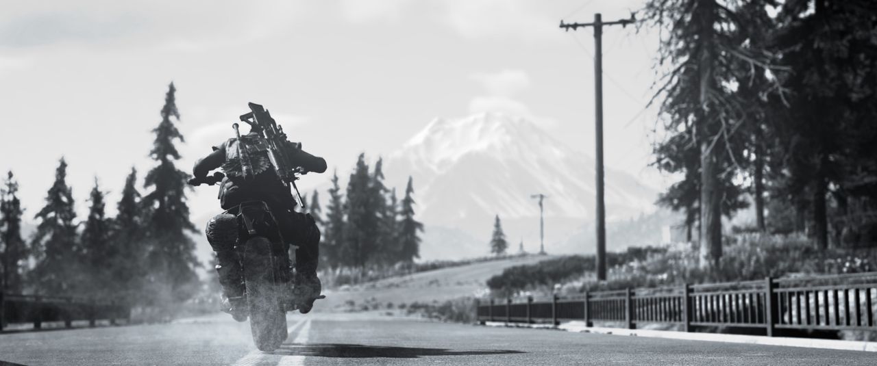 Days Gone ekran görüntüsü 7