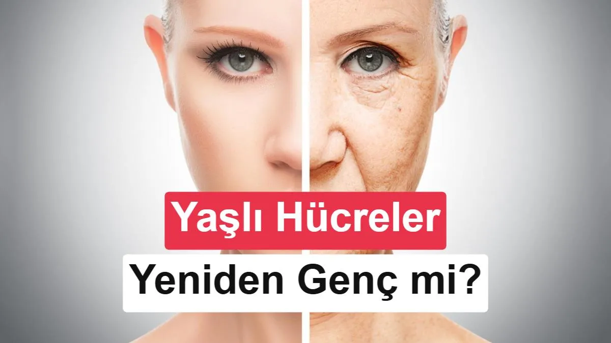 Yaşlı Retina Hücrelerine Yeni Bir Umut: İlk İnsan Denemesinde Gen Terapisi Uygulandı
