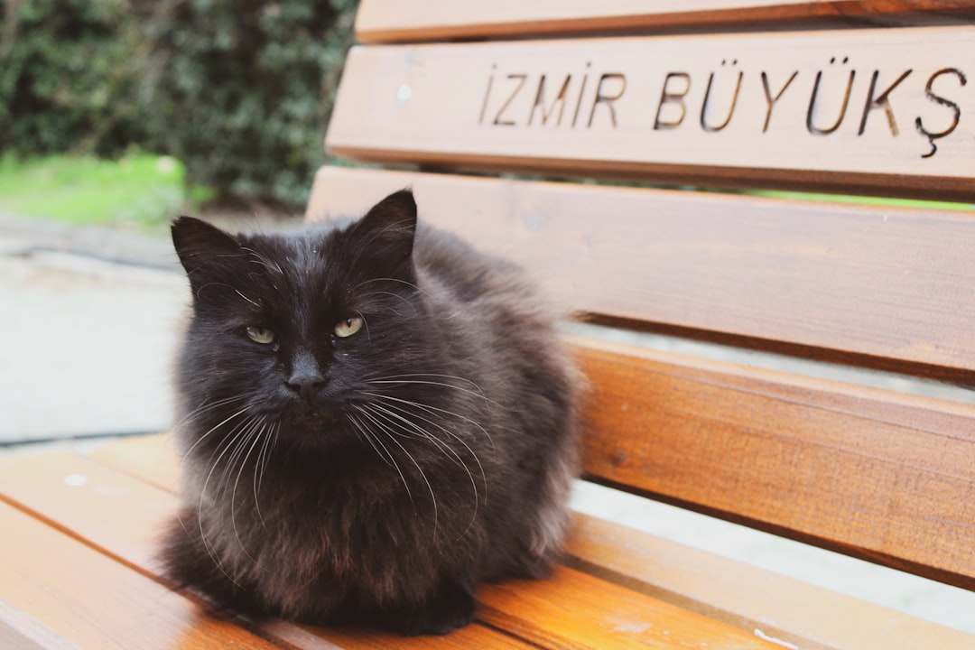 Dunya Cevre Krizi: Turkiye ve Dunya Ne Yapabilir?