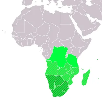 Güney Afrika