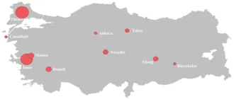 Türk şarabı